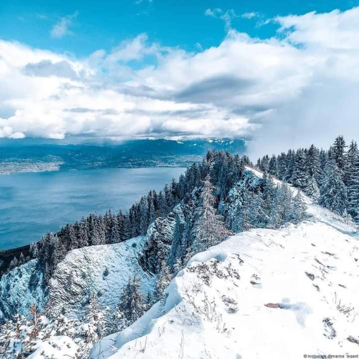 Votre Studio Balneo Bien-Etre A La Montagne Thollon-les-Memises Exterior photo